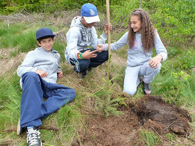 2013 – Lesní pedagogika – lesní projekt s kláštereckou čtyřkou